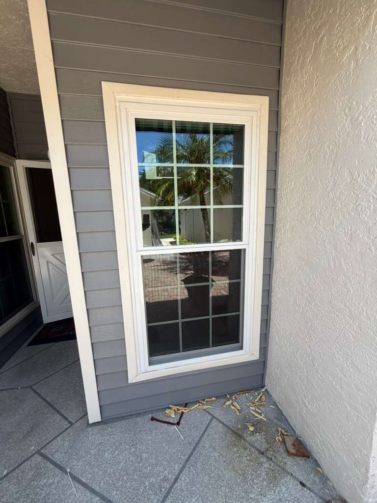 Window repair in Tampa FL